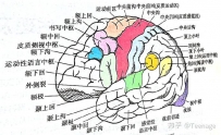 人工智能会是第四次工业革命吗?
